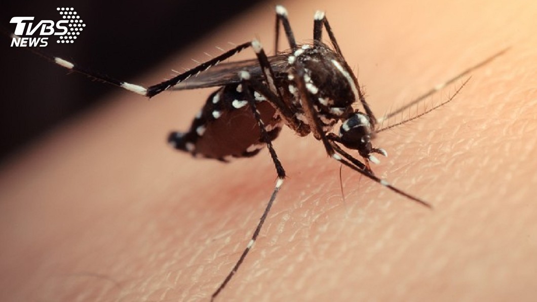 Tainan offers NT$1,000 rewards for dengue fever self-reports (Shutterstock)