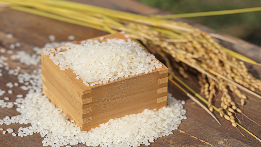Kaohsiung rice reaches South Africa (TPG PHOTO)