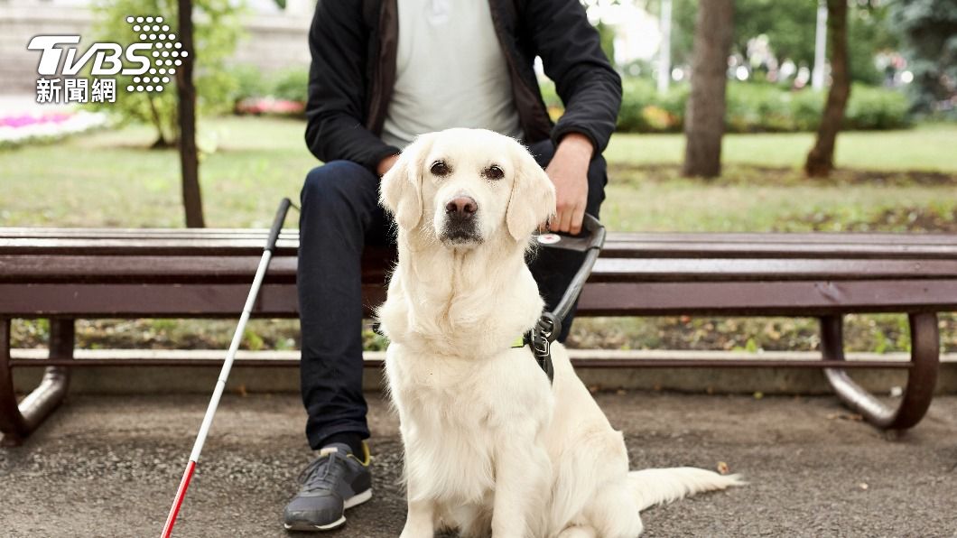 JINS, Taiwan Guide Dog Assoc. launch bandana set for charity (Shutterstock)