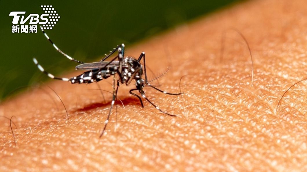 Chiayi reports first encephalitis case (Shutterstock)