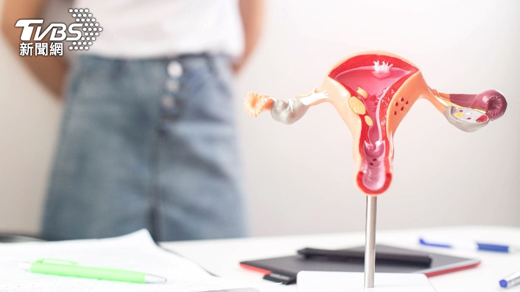 Hsinchu expands fertility support with free AMH testing (Shutterstock)