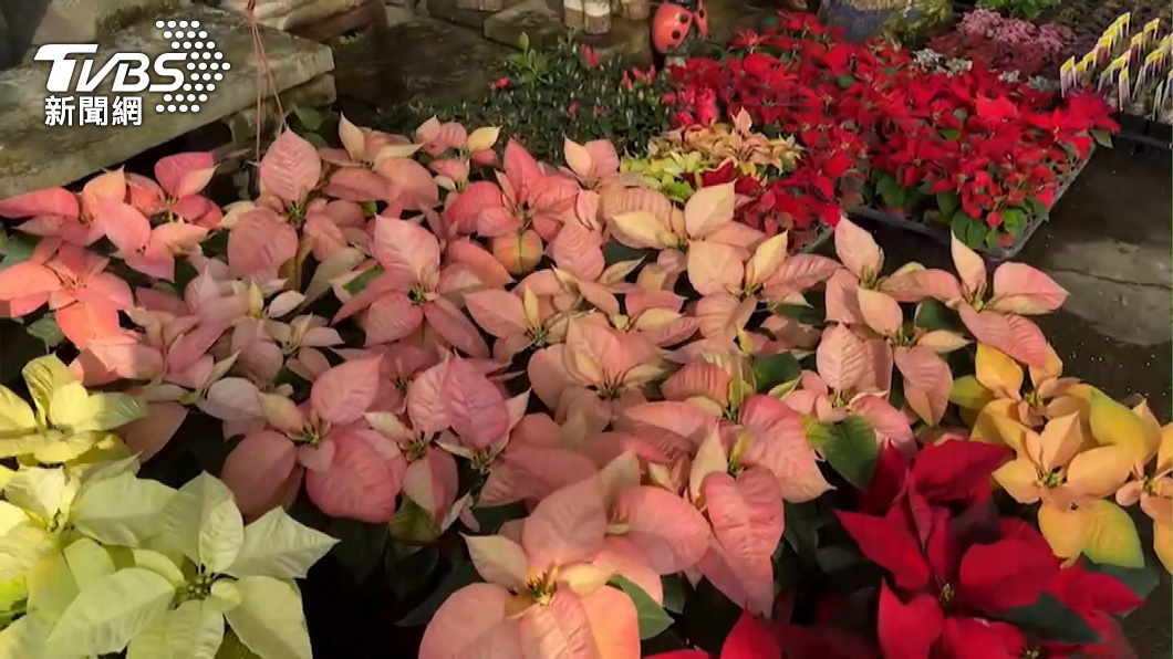 Pingtung hosts floral exhibition event (TVBS News)