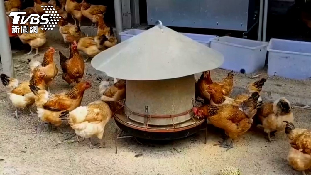 Chicken producers push for enhanced labeling regulations (TVBS News)