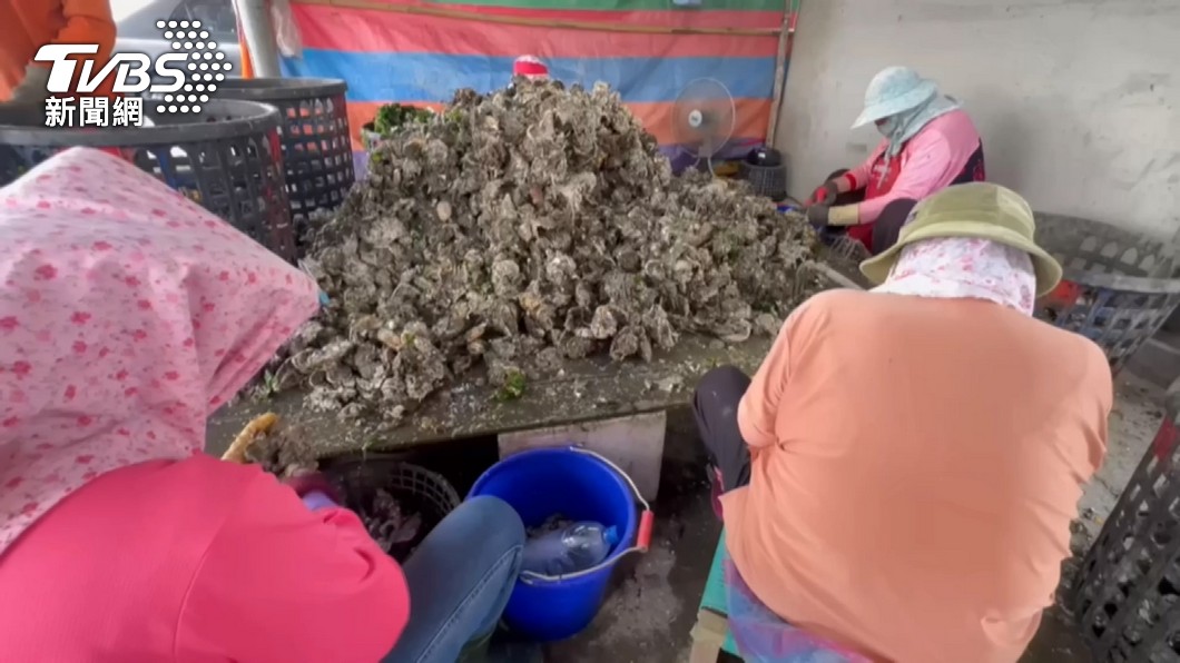 Taiwanese indicted for smuggling oysters (Photo for illustrative purposes/TVBS)