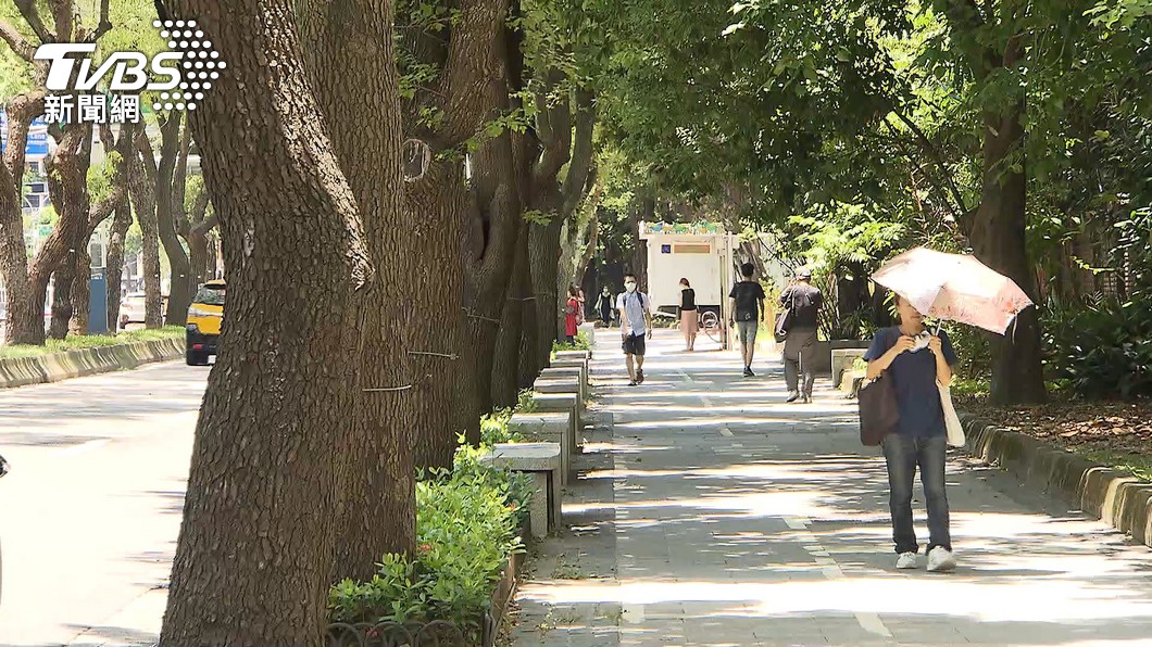 Legislators push for urban tree protection standards (TVBS News)