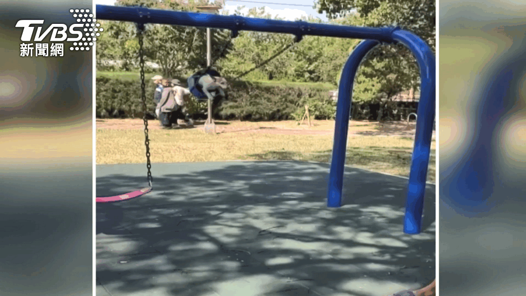  Taichung City says playground exclusively for children amid dog swing set uproar