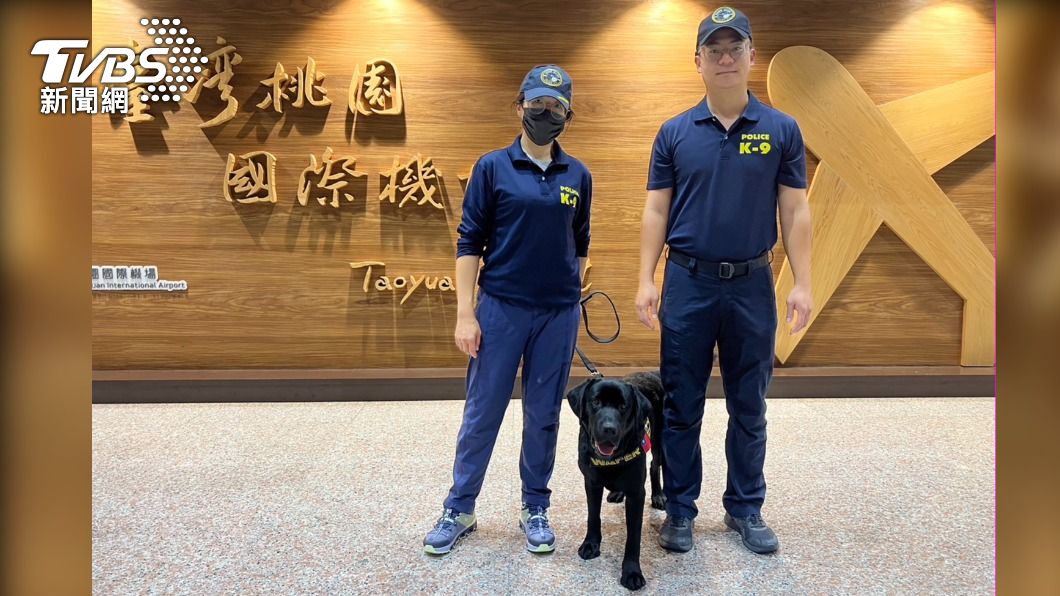 Taiwan’s MND touts success of drug-sniffing dog teams (TVBS News)