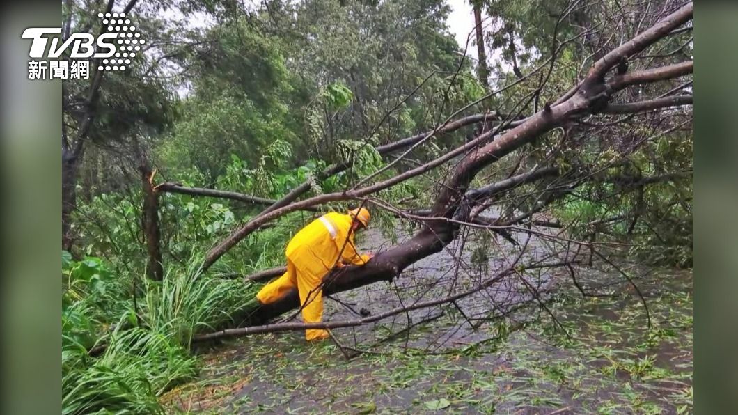Typhoon Haikui causes widespread power outages in Kaohsiung (TVBS News)