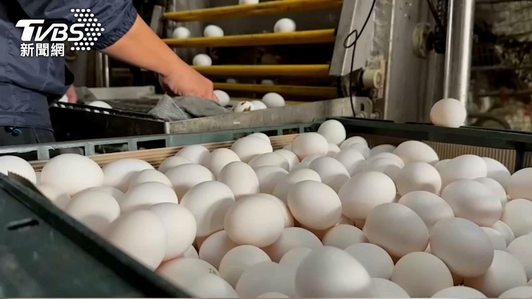 Domestic egg supply stable: Minister of Agriculture (TVBS News)