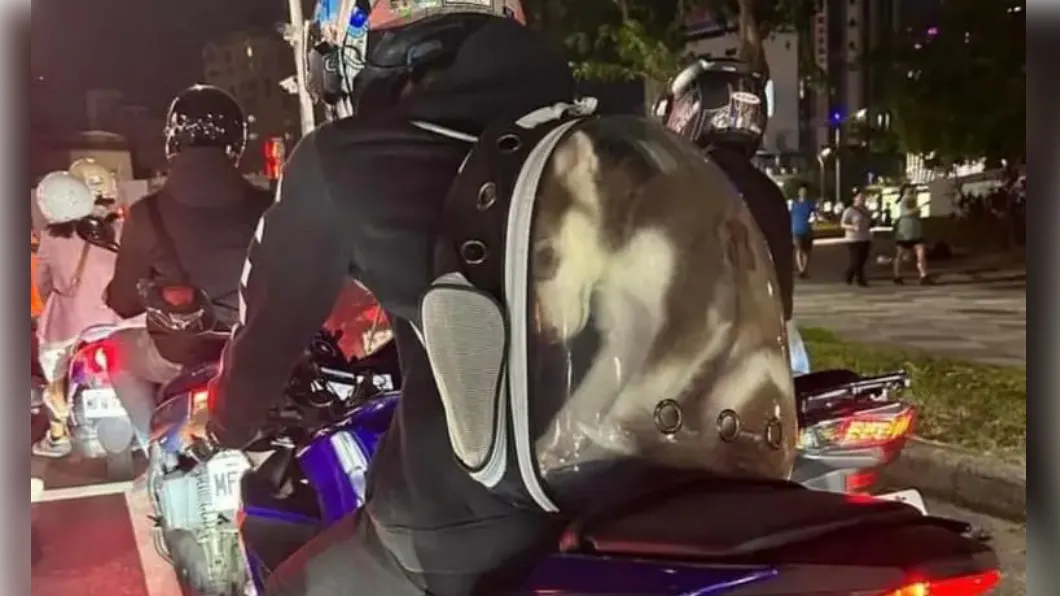 Kaohsiung man carrying husky in capsule backpack faces fine (Courtesy of Dcard)