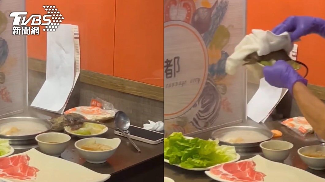 Diners dash as rat disrupts meal at hotpot restaurant (TVBS News)
