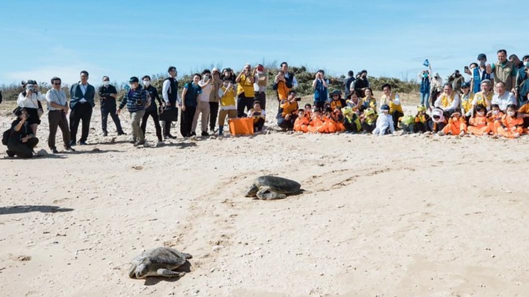 DPP Lai joins sea turtle release, advocates conservation (Courtesy of Presidential Office)