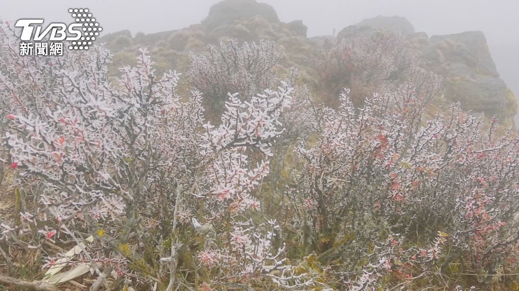 Yushan records -6.6 degrees Celcius amid dense fog (TVBS News)