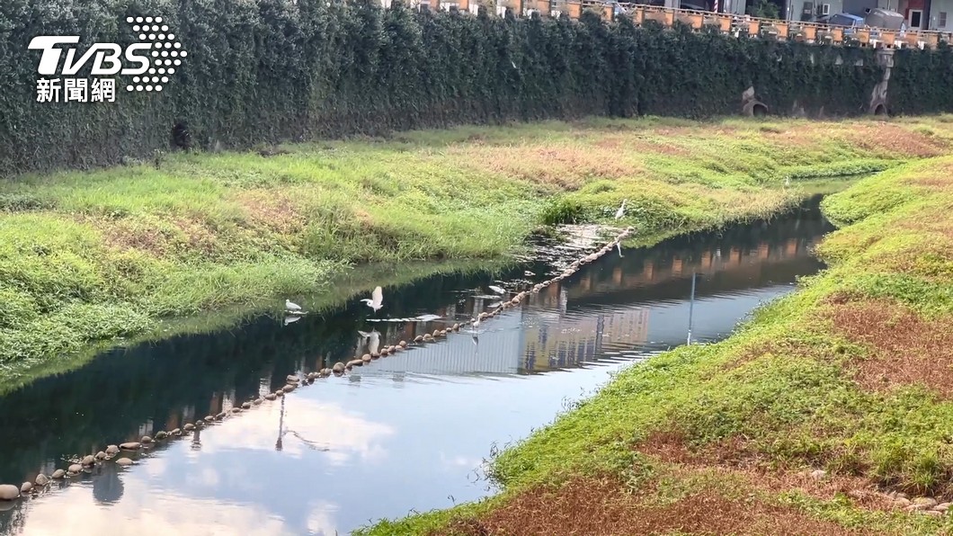 Taiwan, U.S. schools honored for eco-education efforts (TVBS News)