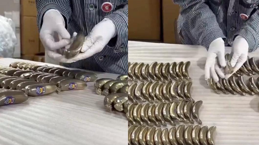 Taiwan’s sraze for Japanese steel bananas confounds maker (Courtesy of IRON FACTORY IKEDA)