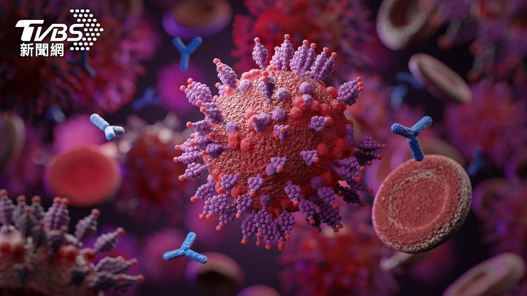 Taiwan CDC: JN.1 COVID variant sporadically detected locally (Shutterstock)