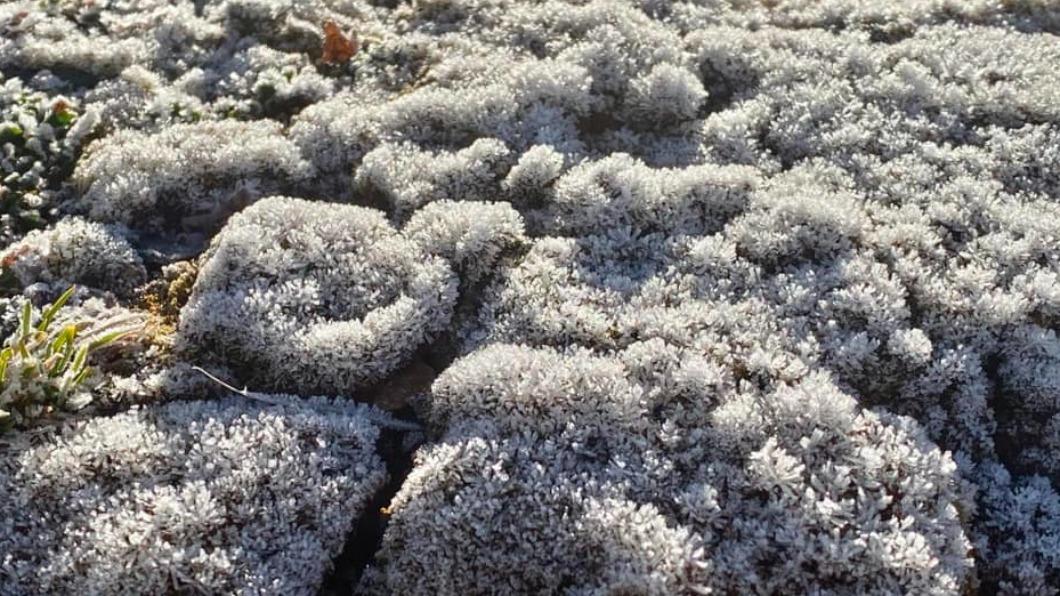 Frost hits Mount Jade North Peak (Courtesy of Cheng Ming-dean’s FB)