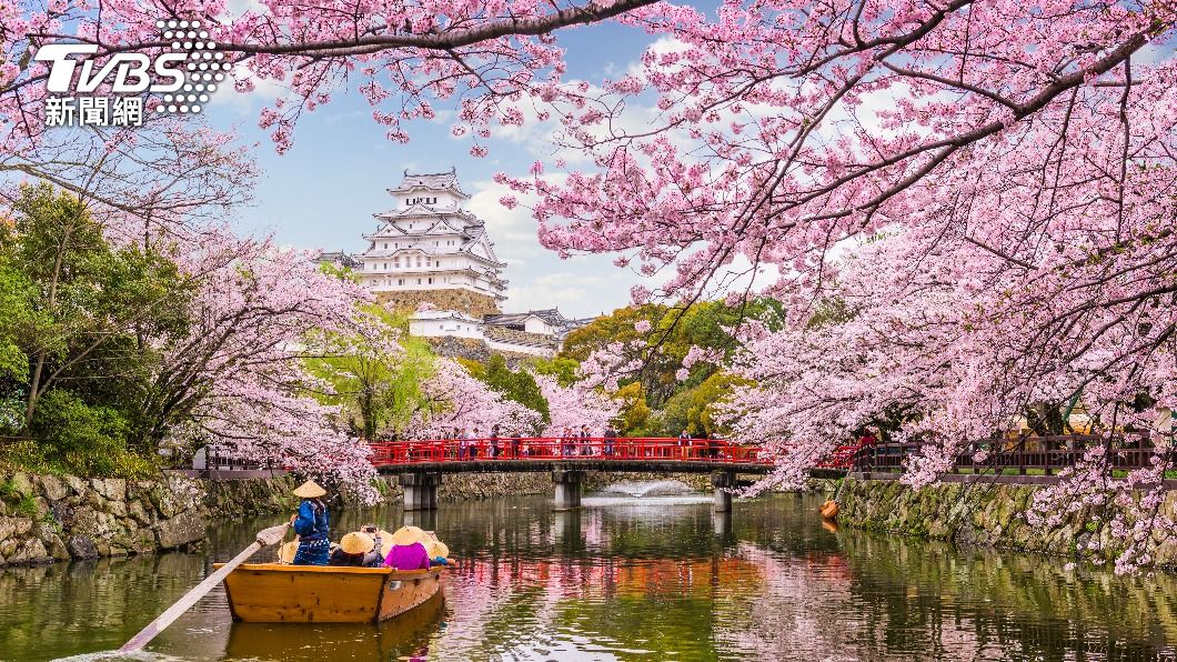 Tokyo cherry blossoms to bloom early on March 23 (Shutterstock)