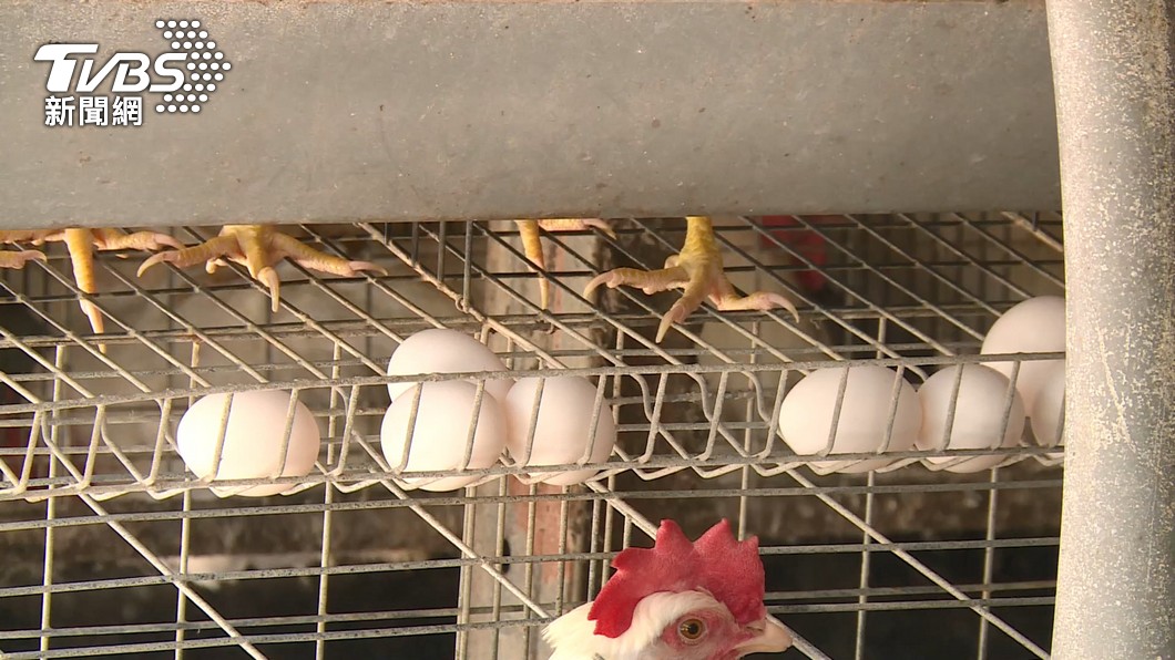 Taipei city egg prices drop post-Lunar New Year glut (TVBS News)
