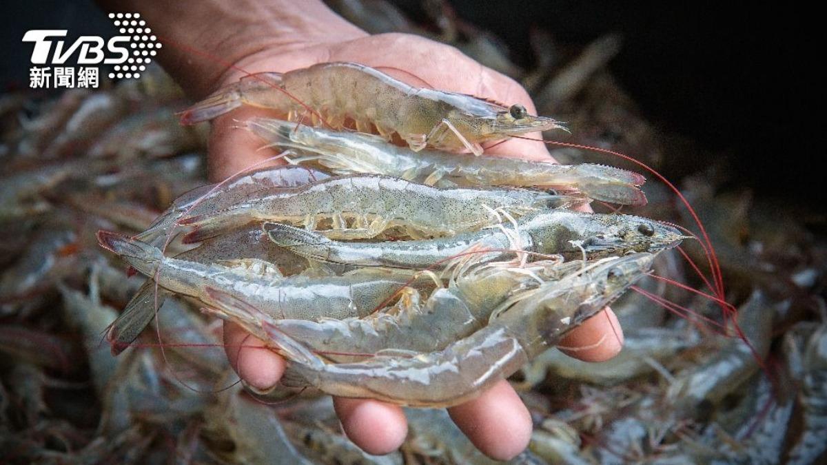Diplomatic break with Taiwan hits Honduras shrimp trade (Shutterstock)