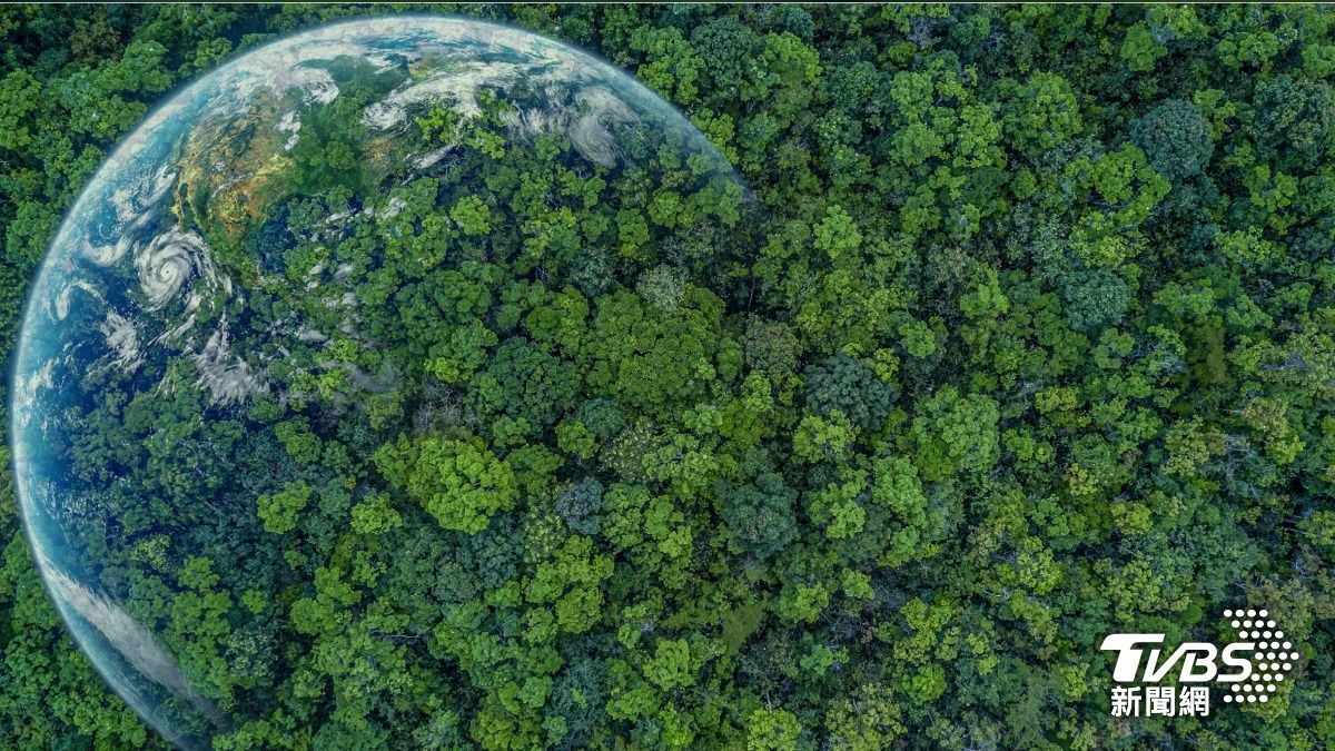 Taiwan sets carbon fee at NT$300 per metric ton (Shutterstock)