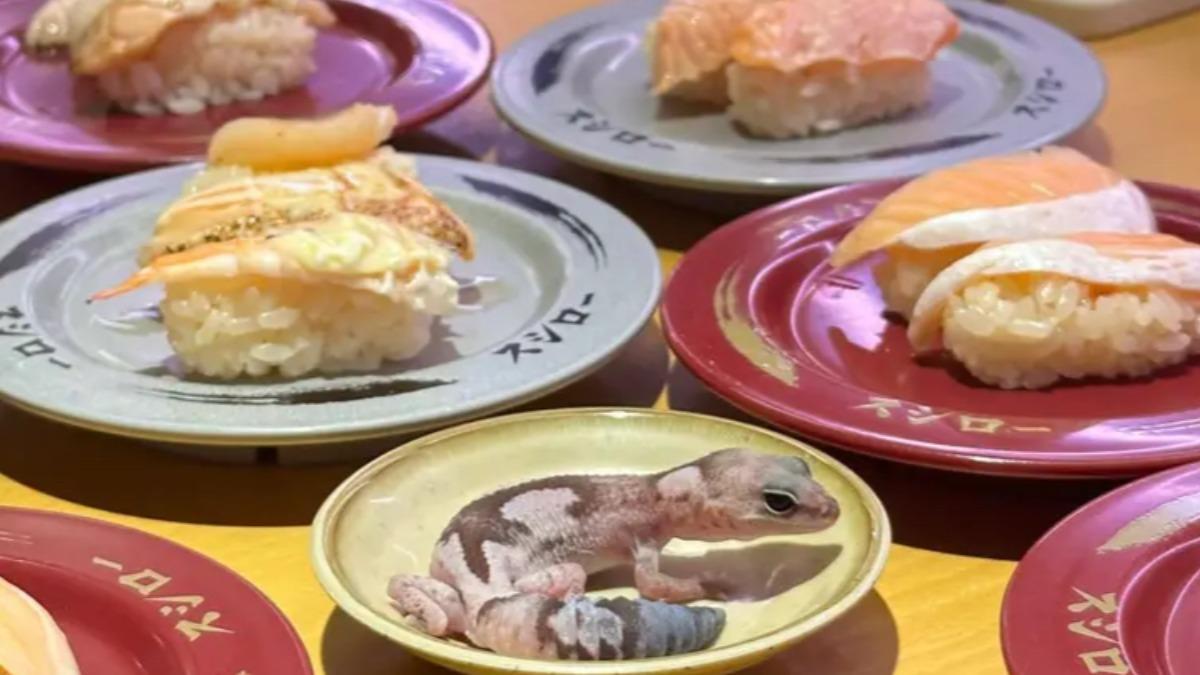 Gecko in soy sauce dish causes uproar in Taiwan (Courtesy of Dcard via TVBS News)
