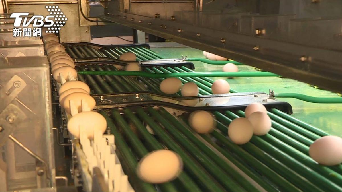 Violations in egg storage costs lead to subsidy cuts (TVBS News)