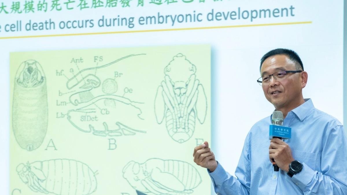 Academia Sinica unveils breakthrough in cell death research (Courtesy of Academia Sinica)