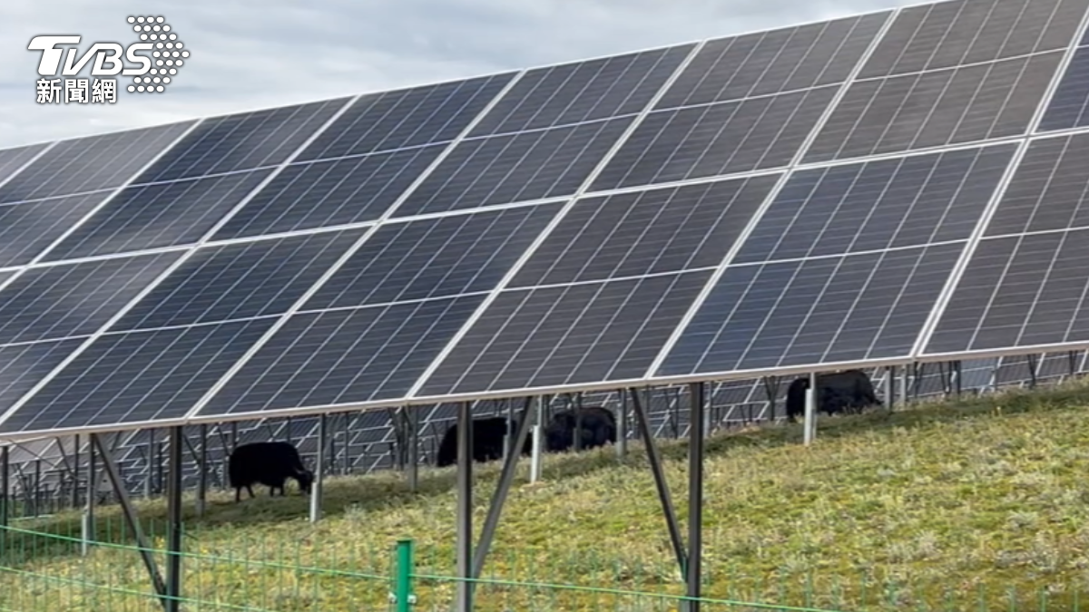 Taiwan delays solar power target to November 2026 (TVBS News)