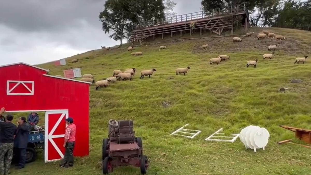 Taiwan unveils new tourism campaign (Courtesy of Qingjing Farm’s Facebook)