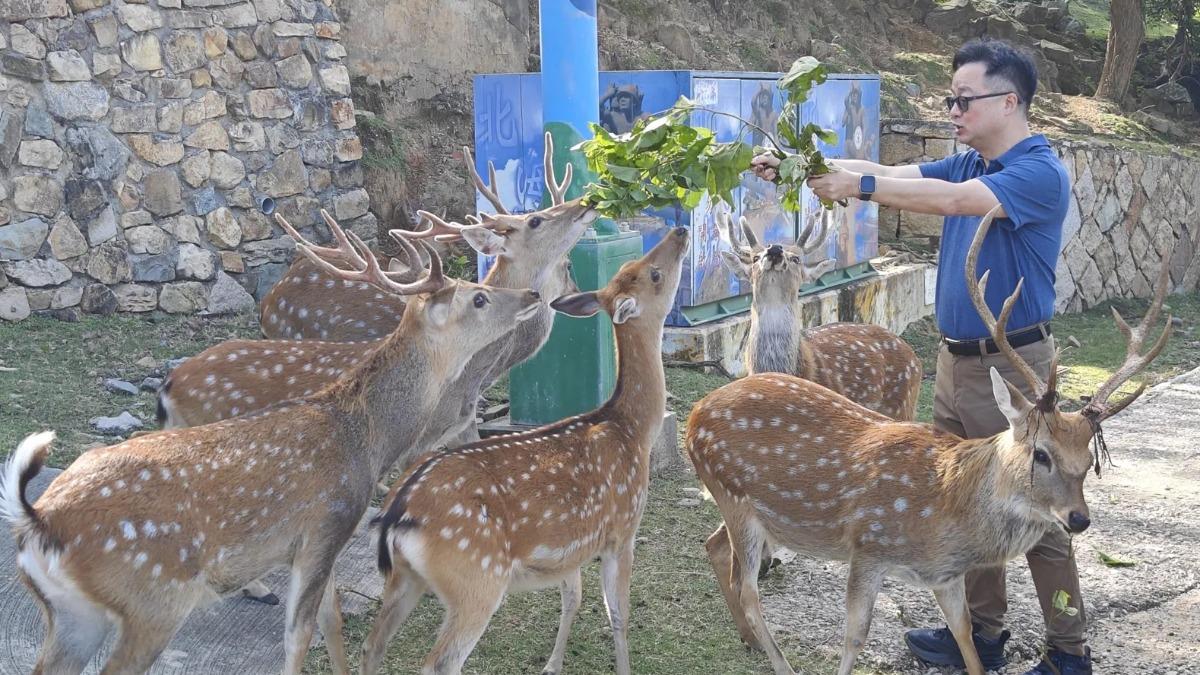 SEF head proposes peace gesture with sika deer gift (Courtesy of the SEF)