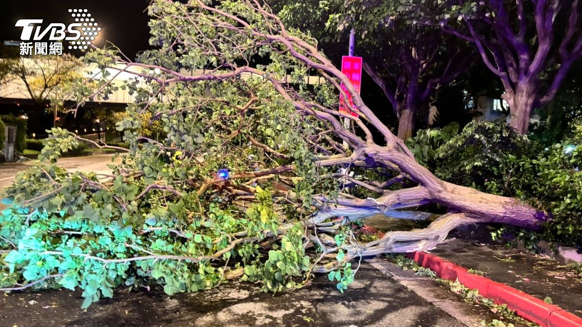 Over 2,000 trees toppled, 300 structures damaged in Taipei (TVBS News)
