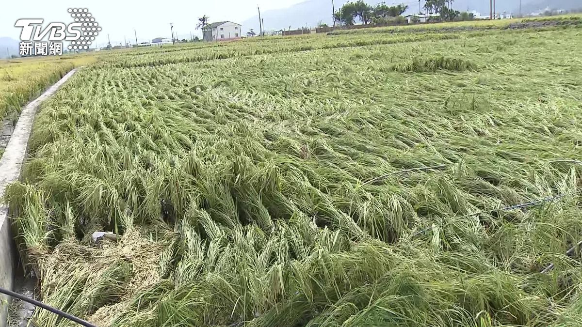 Taiwan’s agriculture budget faces 30% cut, warns official (TVBS News)