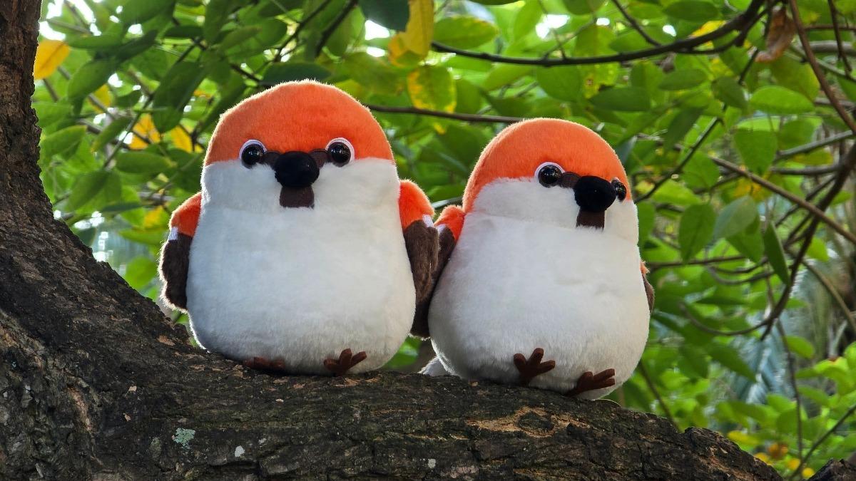 Mountain sparrow plush toys debut (Courtesy of the Forestry and Nature Conservation Agency)