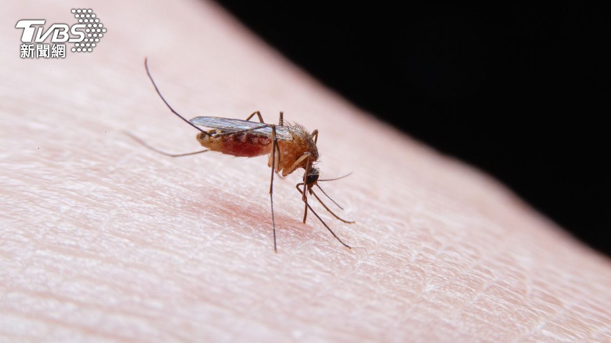 Taiwan CDC warns travelers after severe malaria case (Shutterstock)