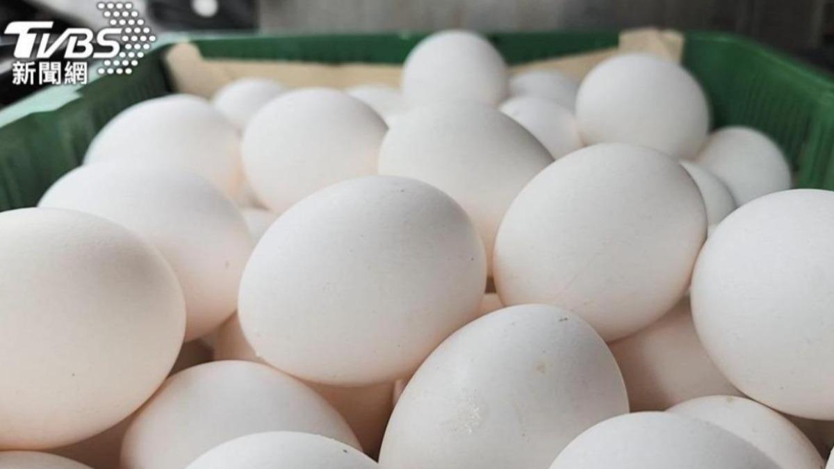 Agriculture ministry urges egg price review (TVBS News)