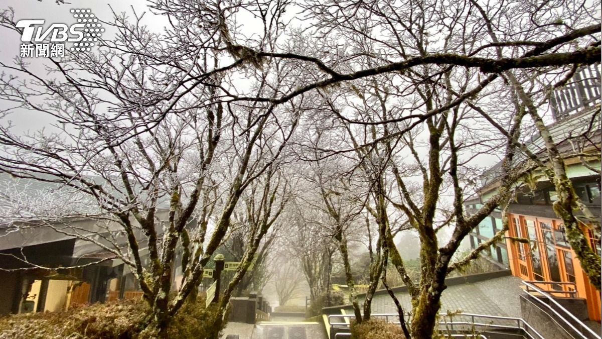 Cold front hits Taiwan, Taipingshan sees freezing temps (TVBS News)