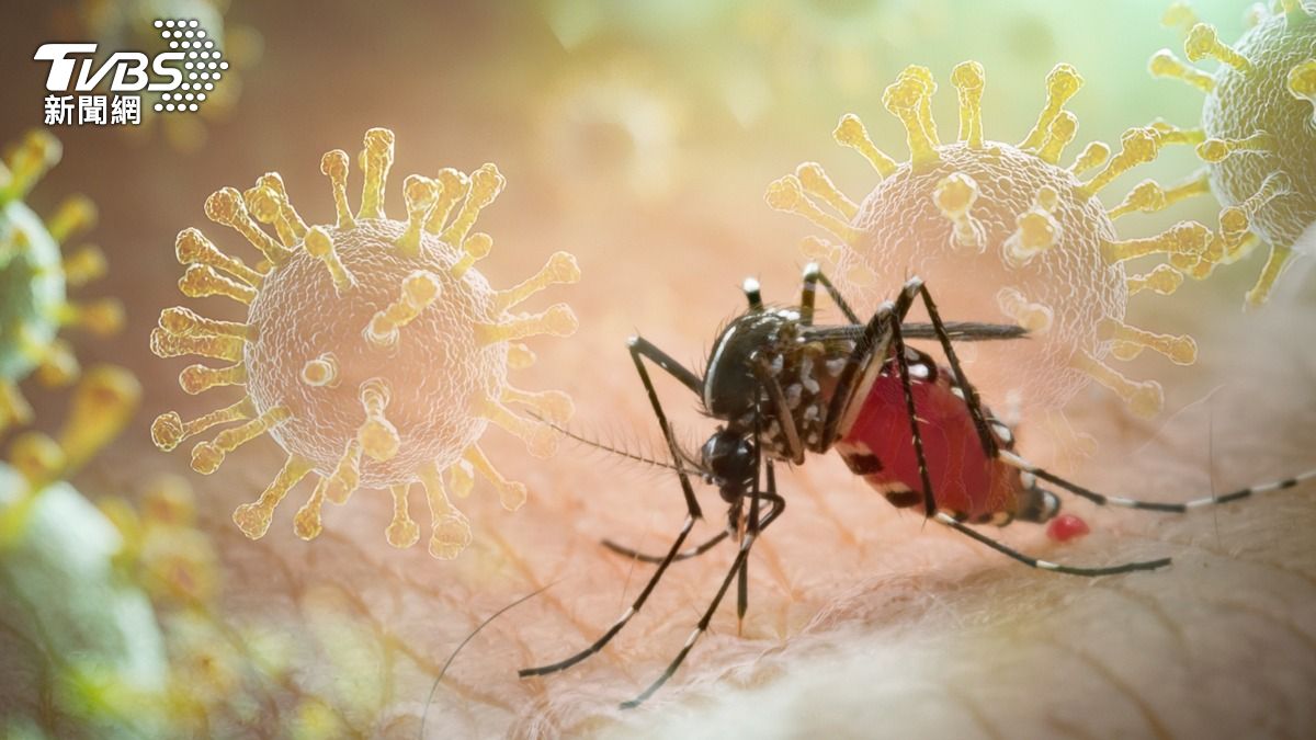 Taiwan CDC reports rise in dengue cases (Shutterstock)