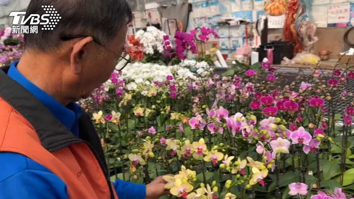 Taiwan plans offshore strategy to protect orchid exports (TVBS News)