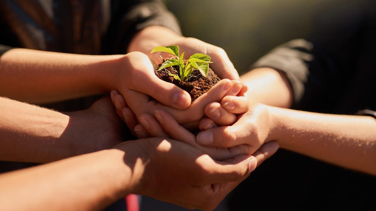 Taiwan bullet train to give away 3,600 tree saplings for Earth Day (Shutterstock)