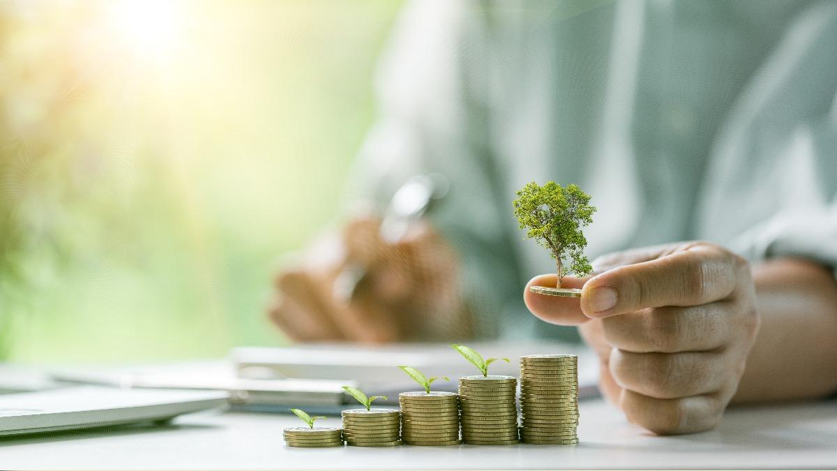 Taiwan bets on green economy amid global policy changes (Shutterstock)