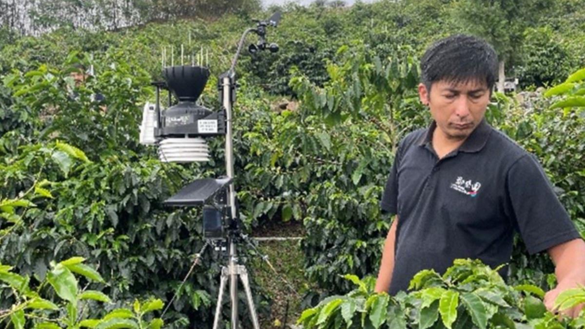 Chiayi County boosts coffee quality (Courtesy of Chiayi County Government) 圖說