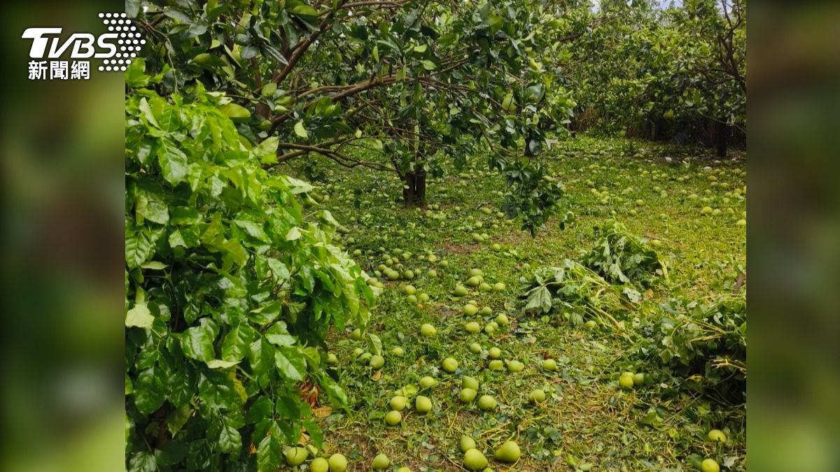 Typhoon Danas hits Tainan, damages crops (TVBS News)