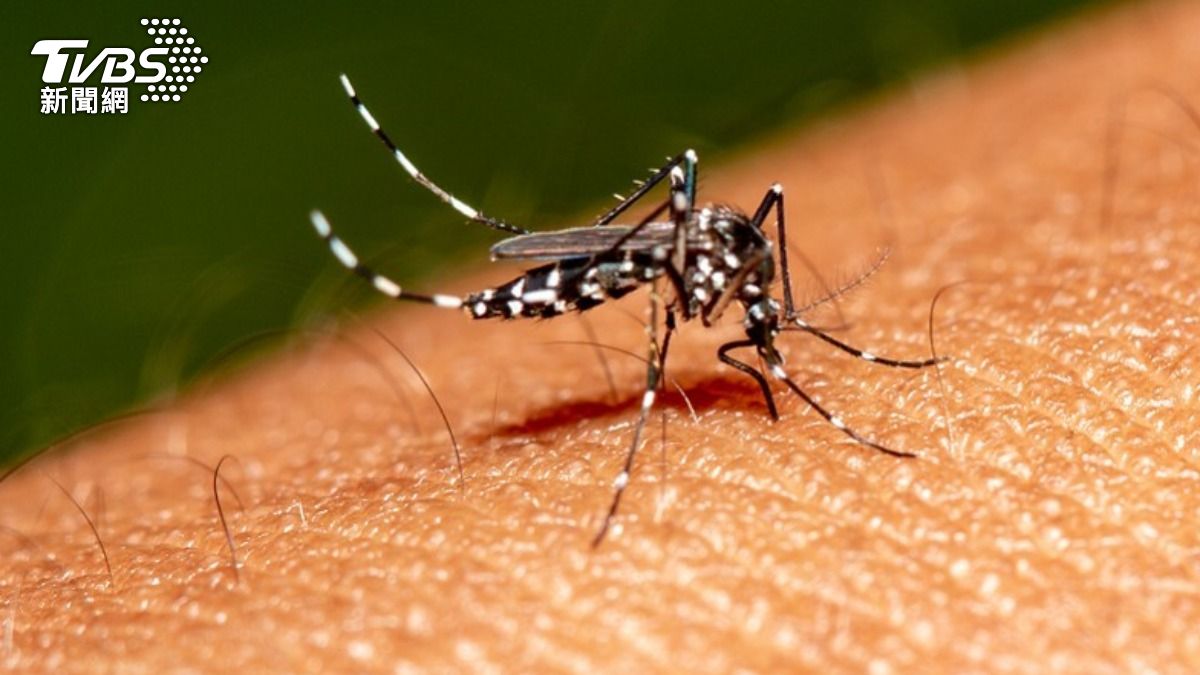 Taiwan health authorities report dengue cluster infection (Shutterstock)