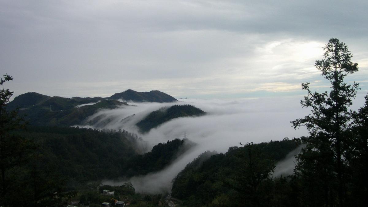 Forest agency cuts ticket prices for October holiday (Courtesy of Forestry and Nature Conservation A