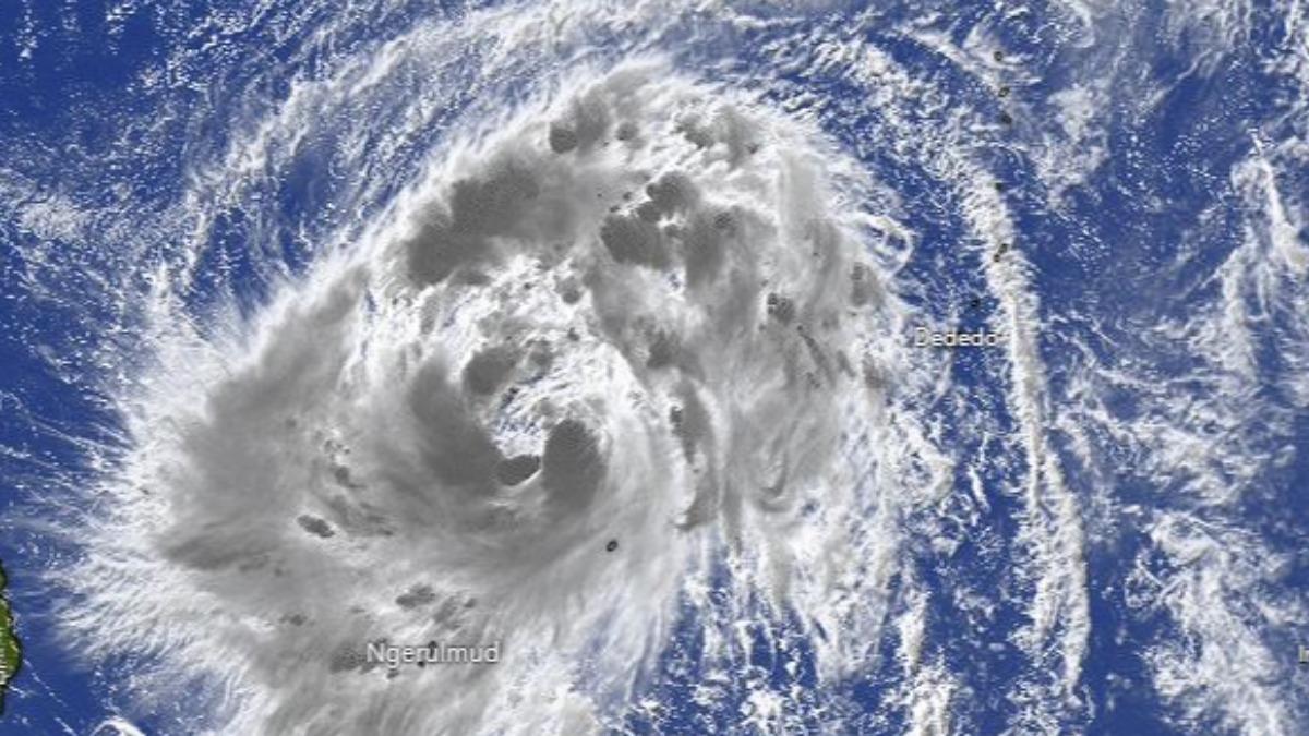 Typhoon Fung-wong intensifies rapidly (Screenshot of windy)