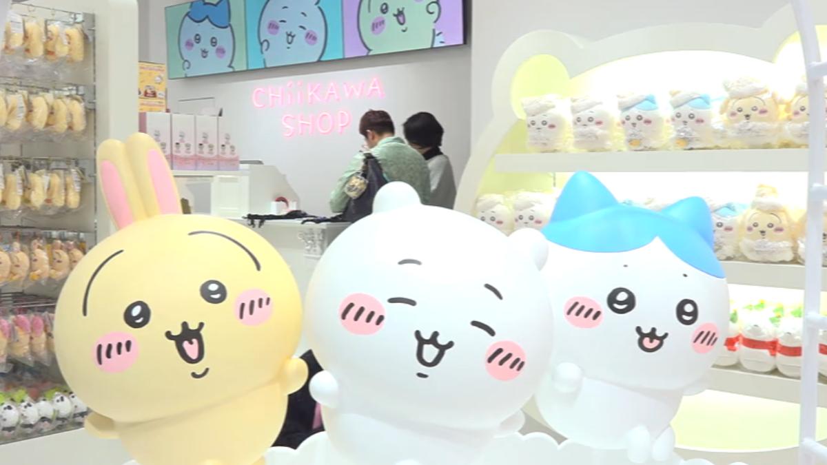 Explore Huashan Park during Lunar New Year Week in Taipei (TVBS News)