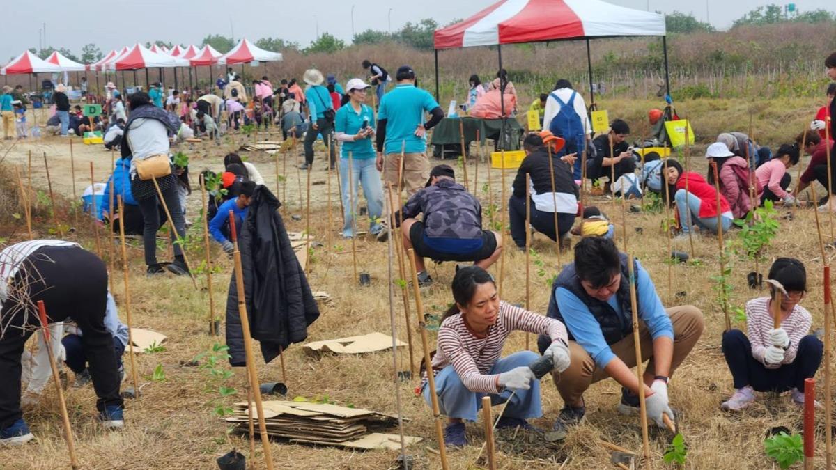 Taiwan coastal wetlands see 70% tree survival since 2022 (Courtesy of the Public Works Bureau, Kaohs