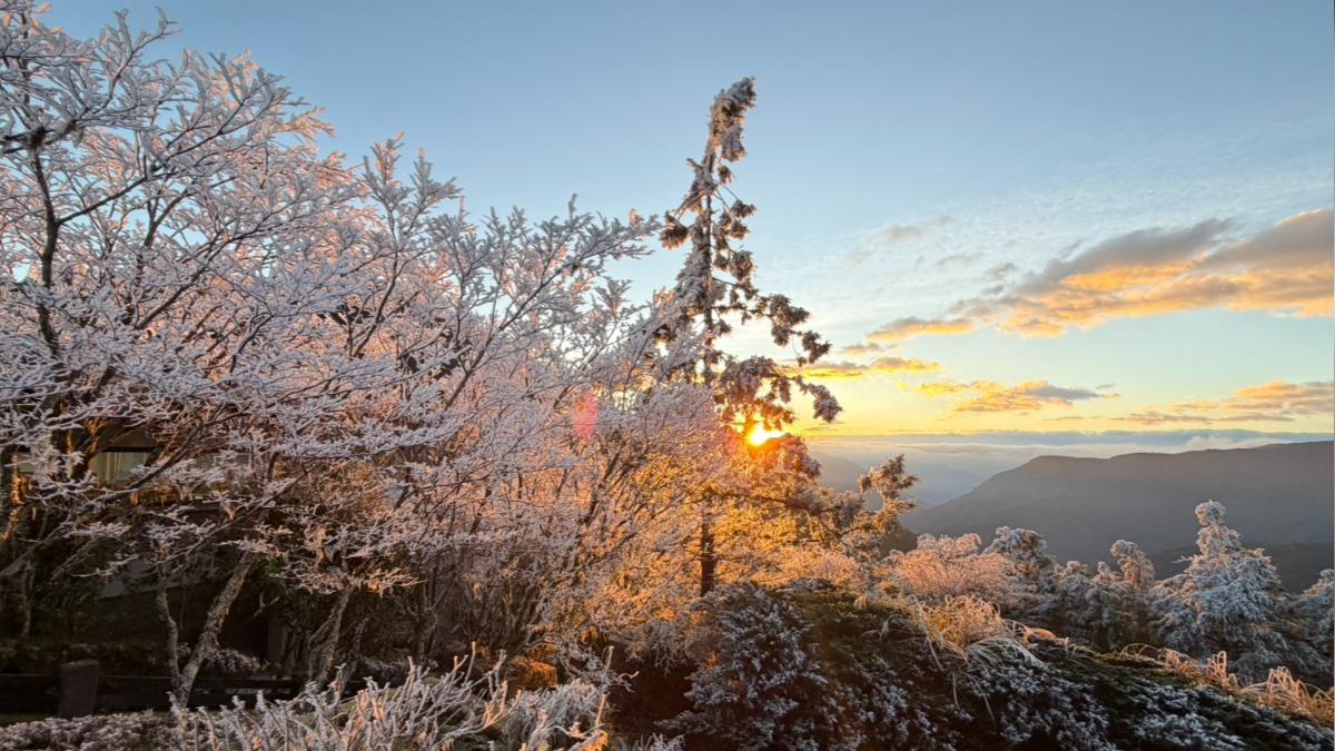 Frost spectacle amazes Taipingshan visitors (Courtesy of the Taipingshan National Forest Recreation 