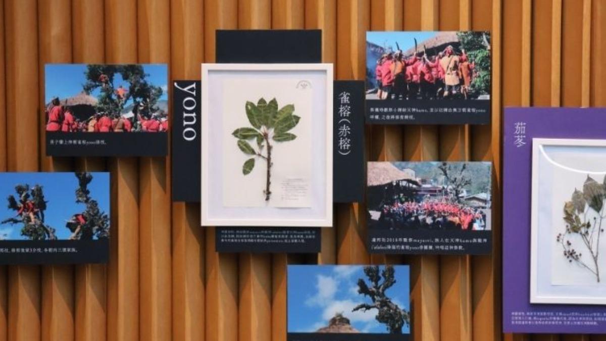 Taiwan museum opens Tsou natural history exhibition (Courtesy of the National Museum of Natural Scie